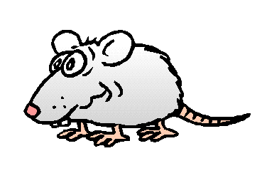 rat clipart animated
