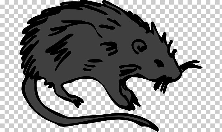 Black Death Black rat , Animated Rat s PNG clipart