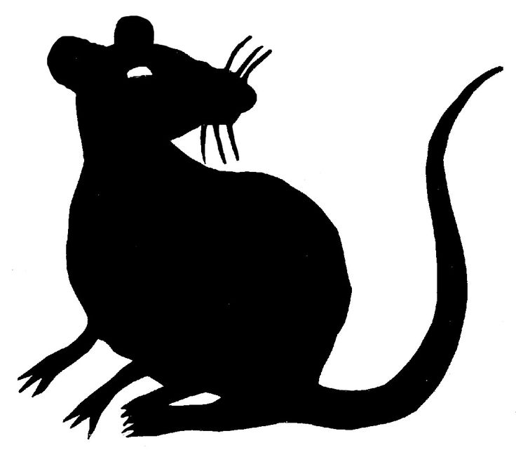 Scary rat drawing.