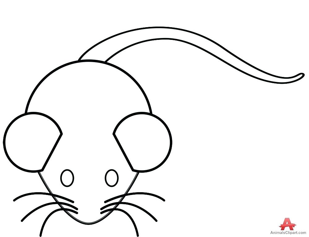 Rat clipart easy, Rat easy Transparent FREE for download on