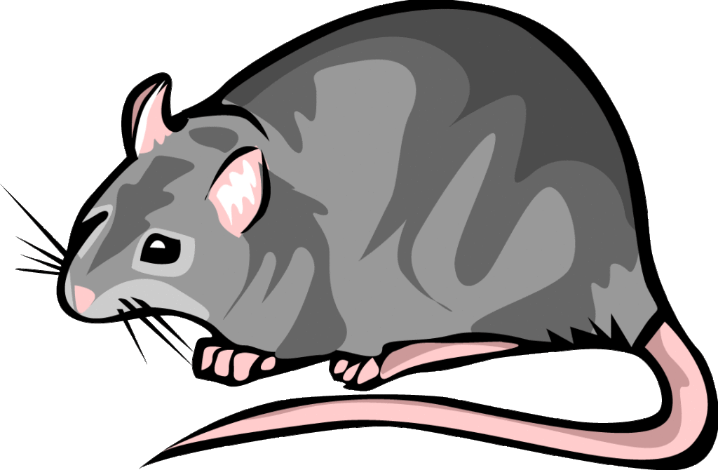 Clipart rat gray.
