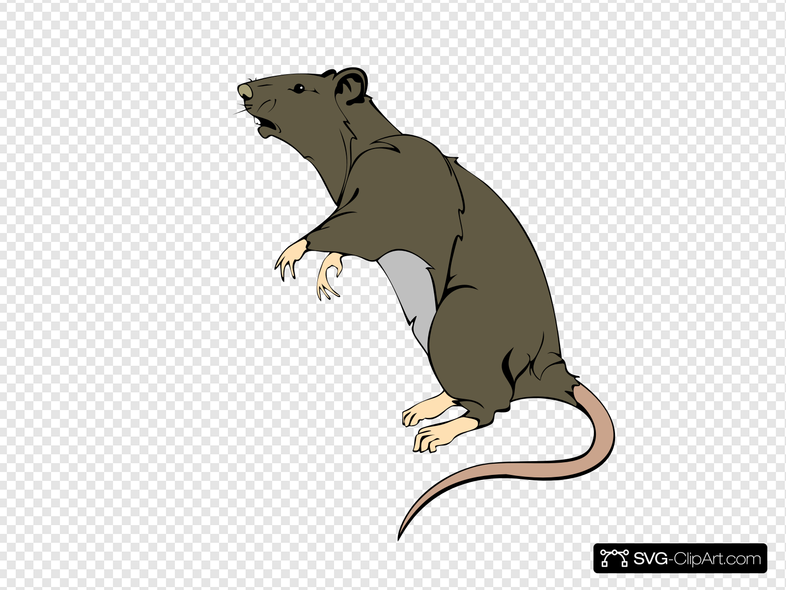 Grey Greedy Rat Clip art, Icon and SVG