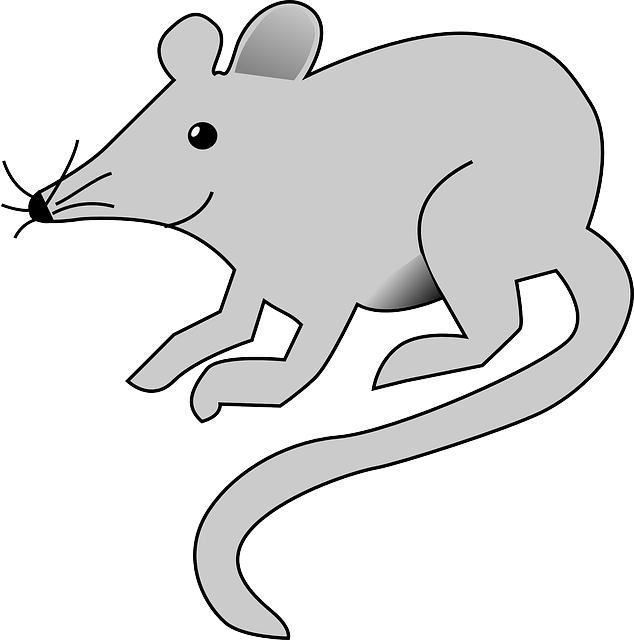 Mouse cartoon rat.
