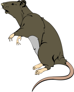 Grey Greedy Rat Clip Art at Clker