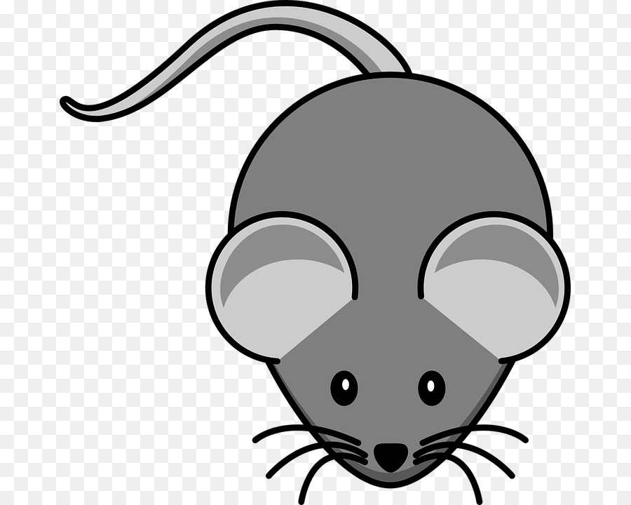Rat Cartoon clipart
