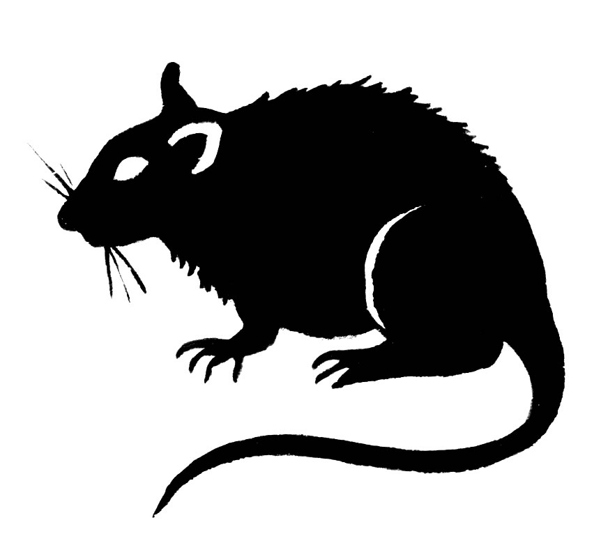 Free Cartoon Rat Pictures, Download Free Clip Art, Free Clip