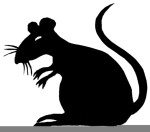 Rats Clipart Free