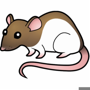 rat clipart public domain