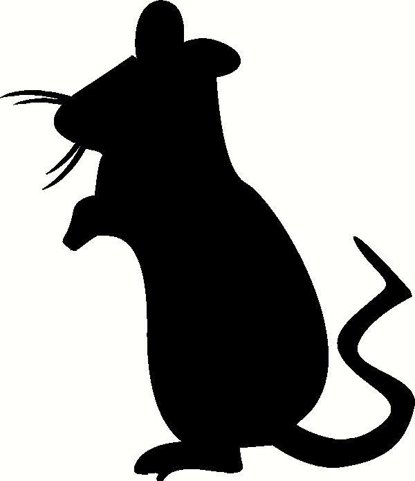 Rat standing.