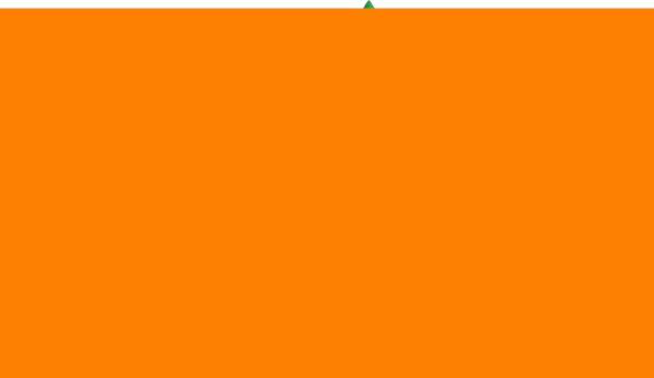 Orange rectangle clip.