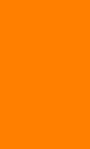 Orange vertical rectangle.