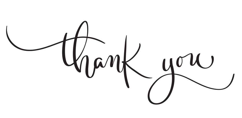 Hand drawn vintage Vector text Thank you on white background