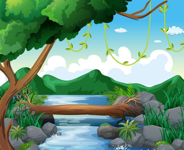 Background scene with river in forest