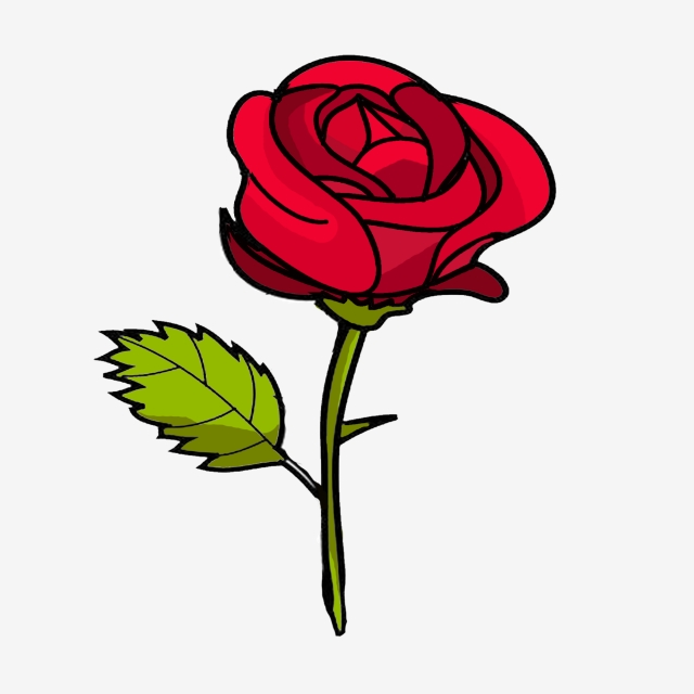 Rose clipart png.