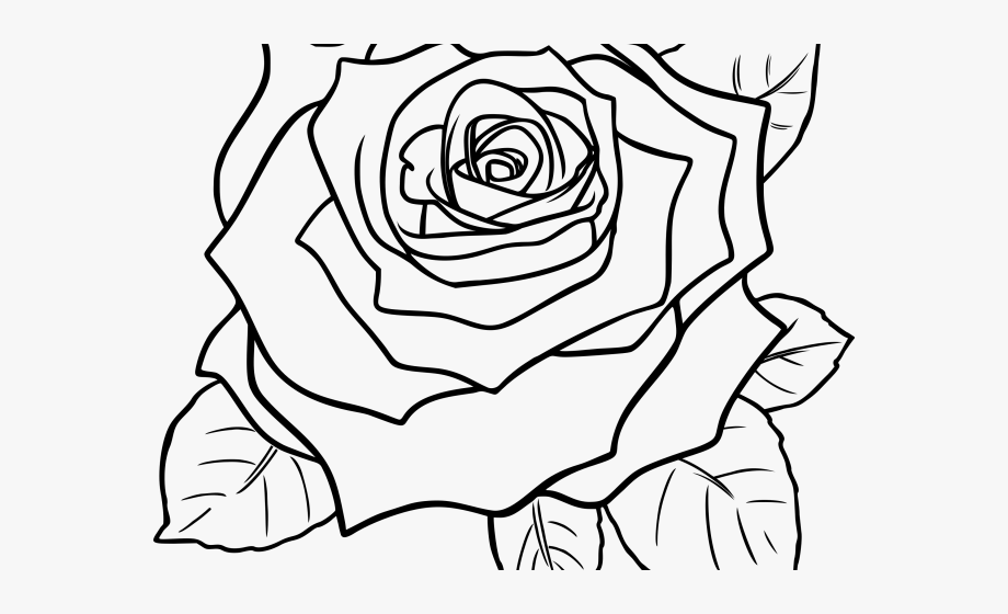 White Rose Clipart Guldasta