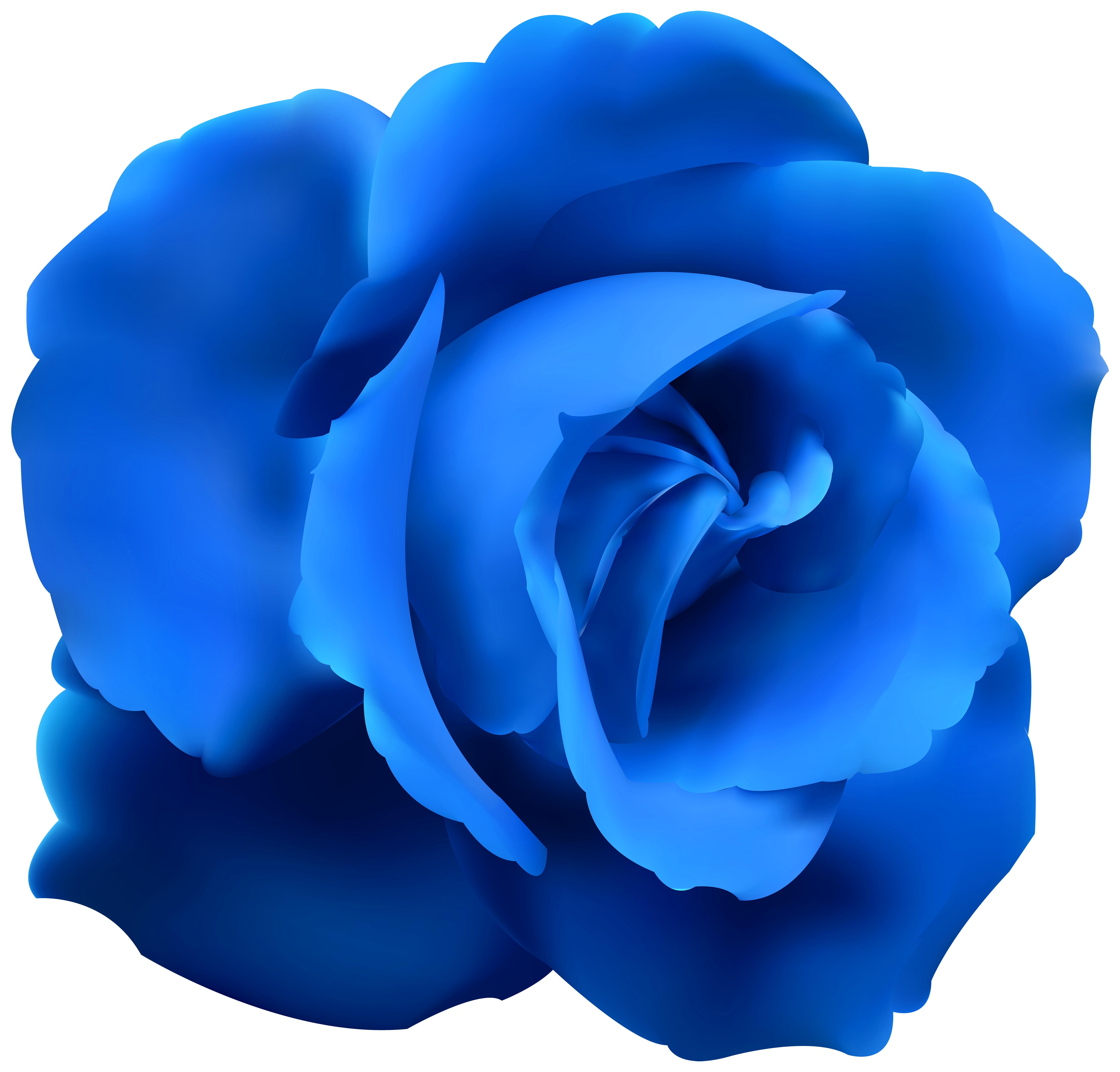 Blue rose clip.