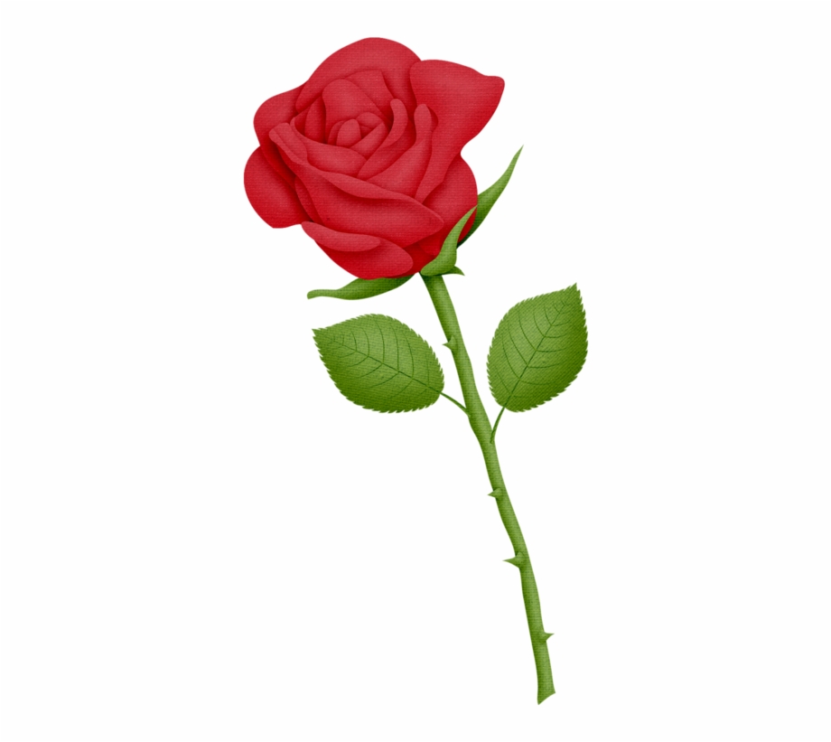 Red rose clipart.