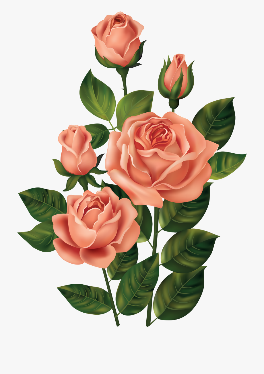 Rose Clipart, Flower Clipart, Rose Pictures, Art Pictures