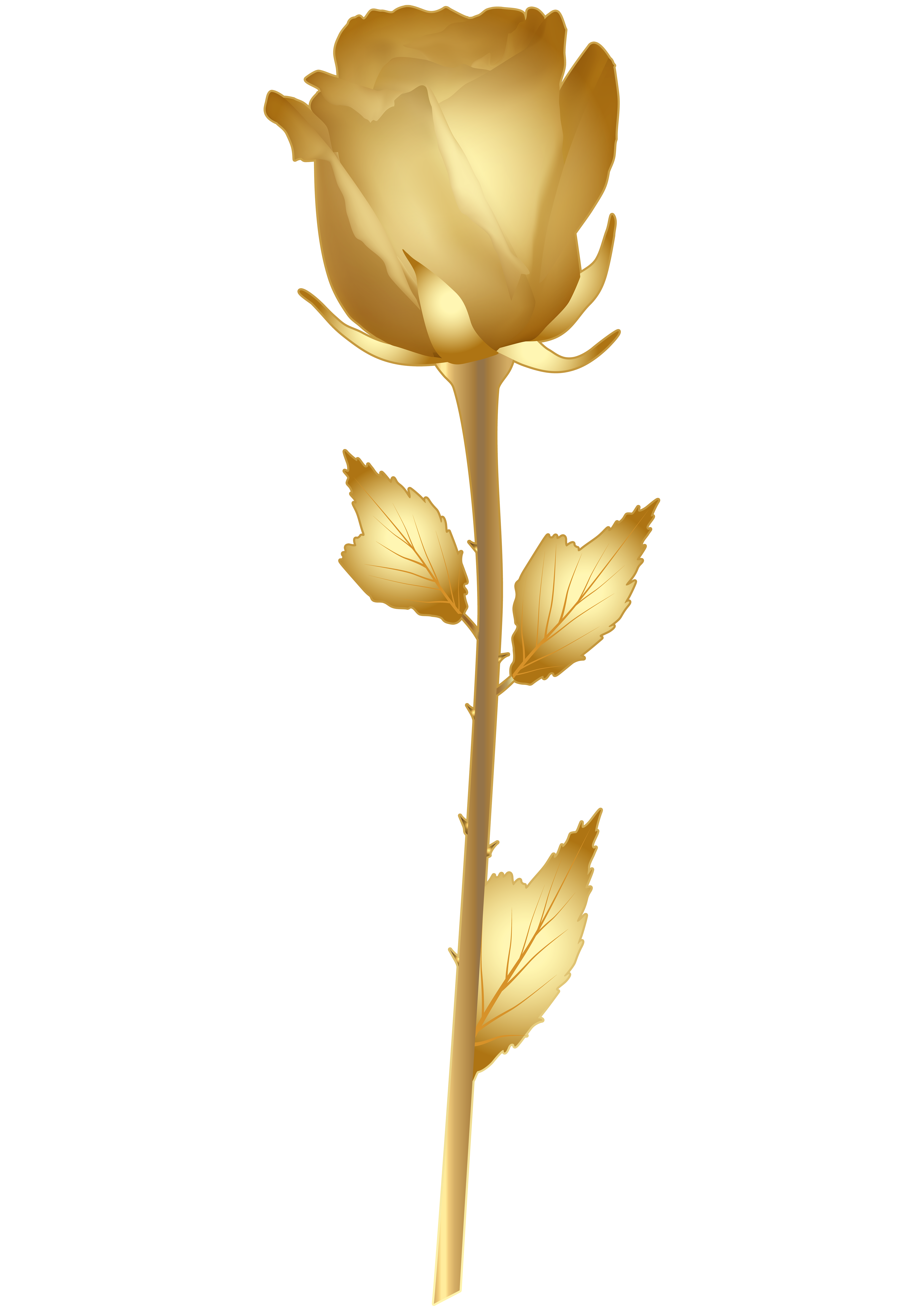 Beautiful gold rose.