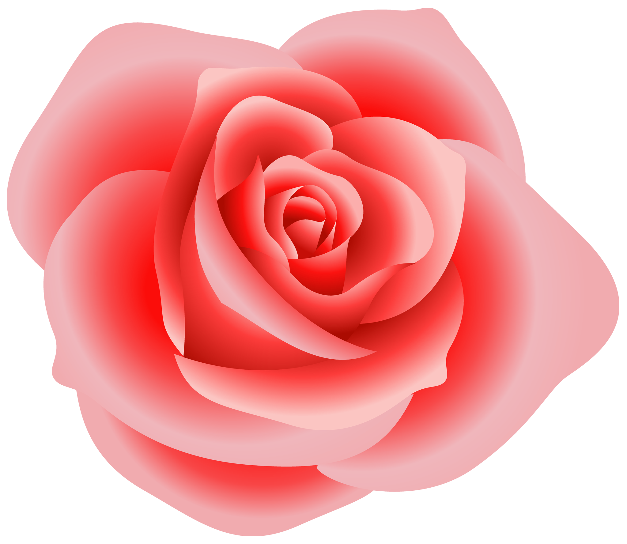 Free Rose Images, Download Free Clip Art, Free Clip Art on