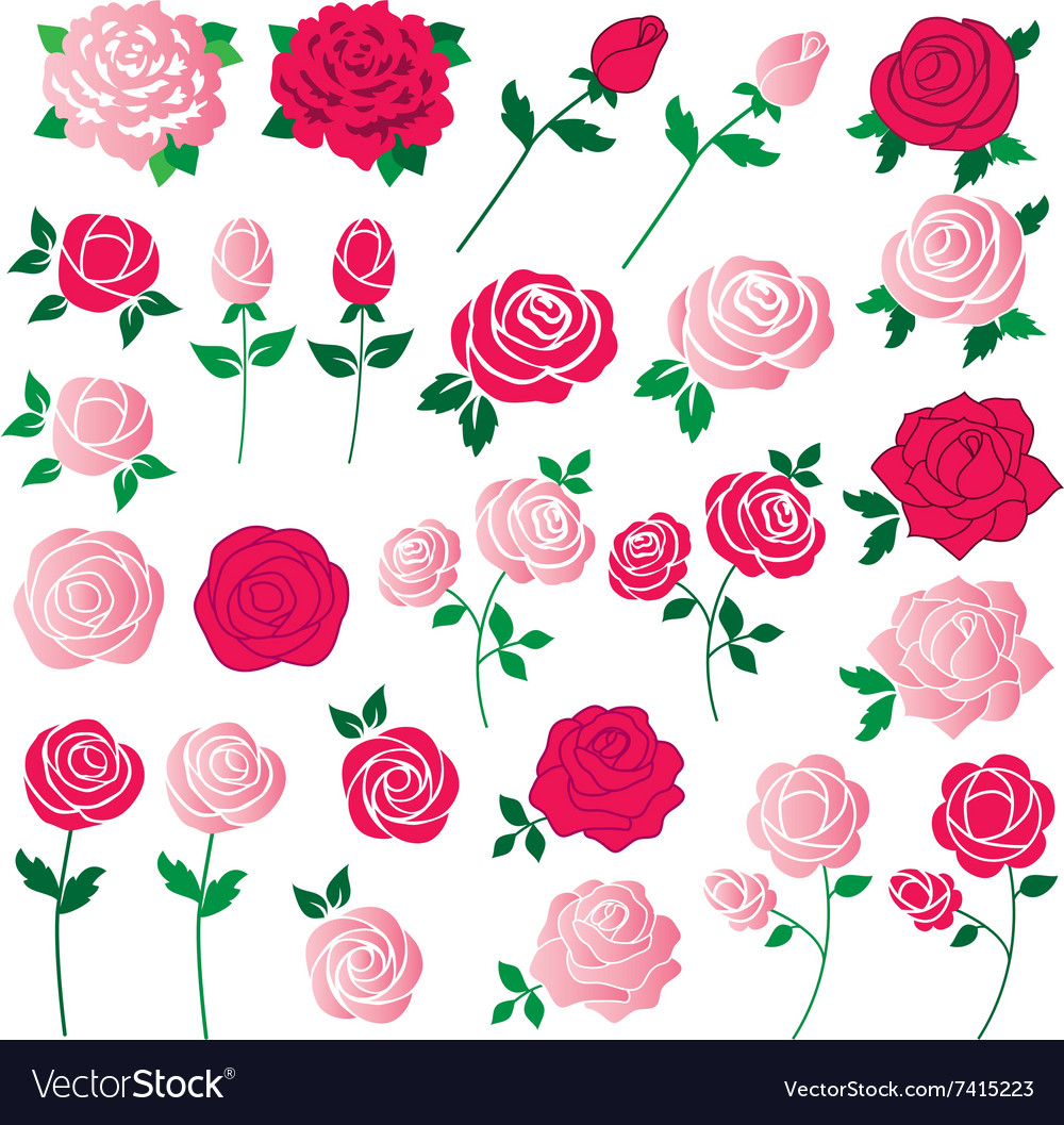 Rose clipart.