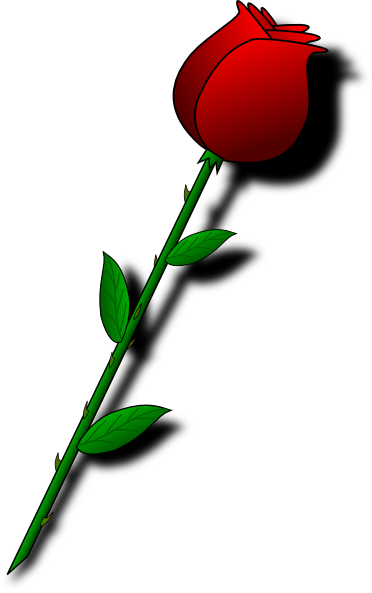 Free single rose.