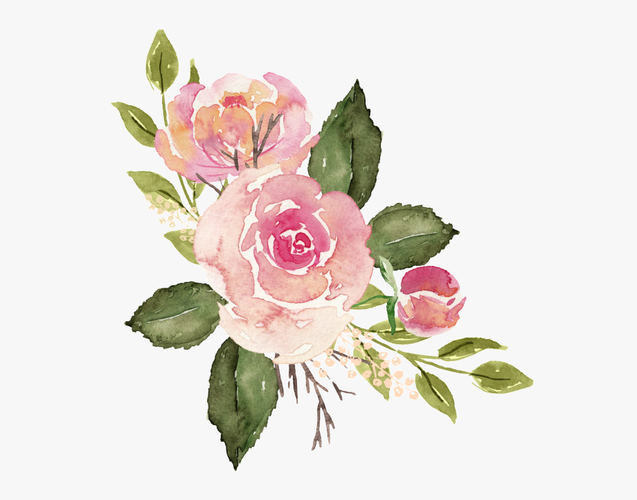 Pink watercolor roses.