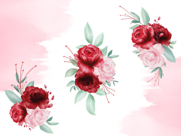 Blush roses watercolor.