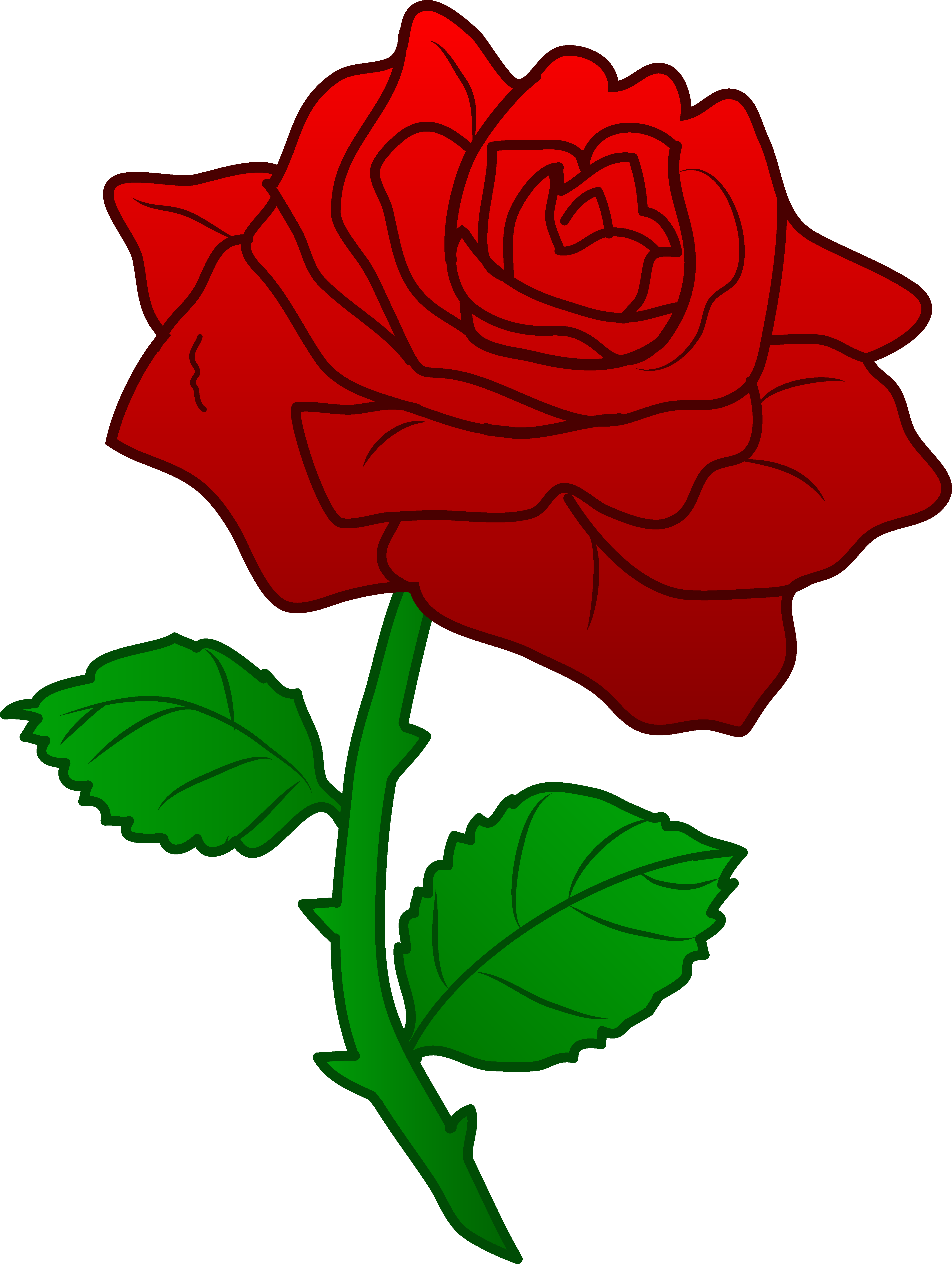 Cartoon Roses Pictures