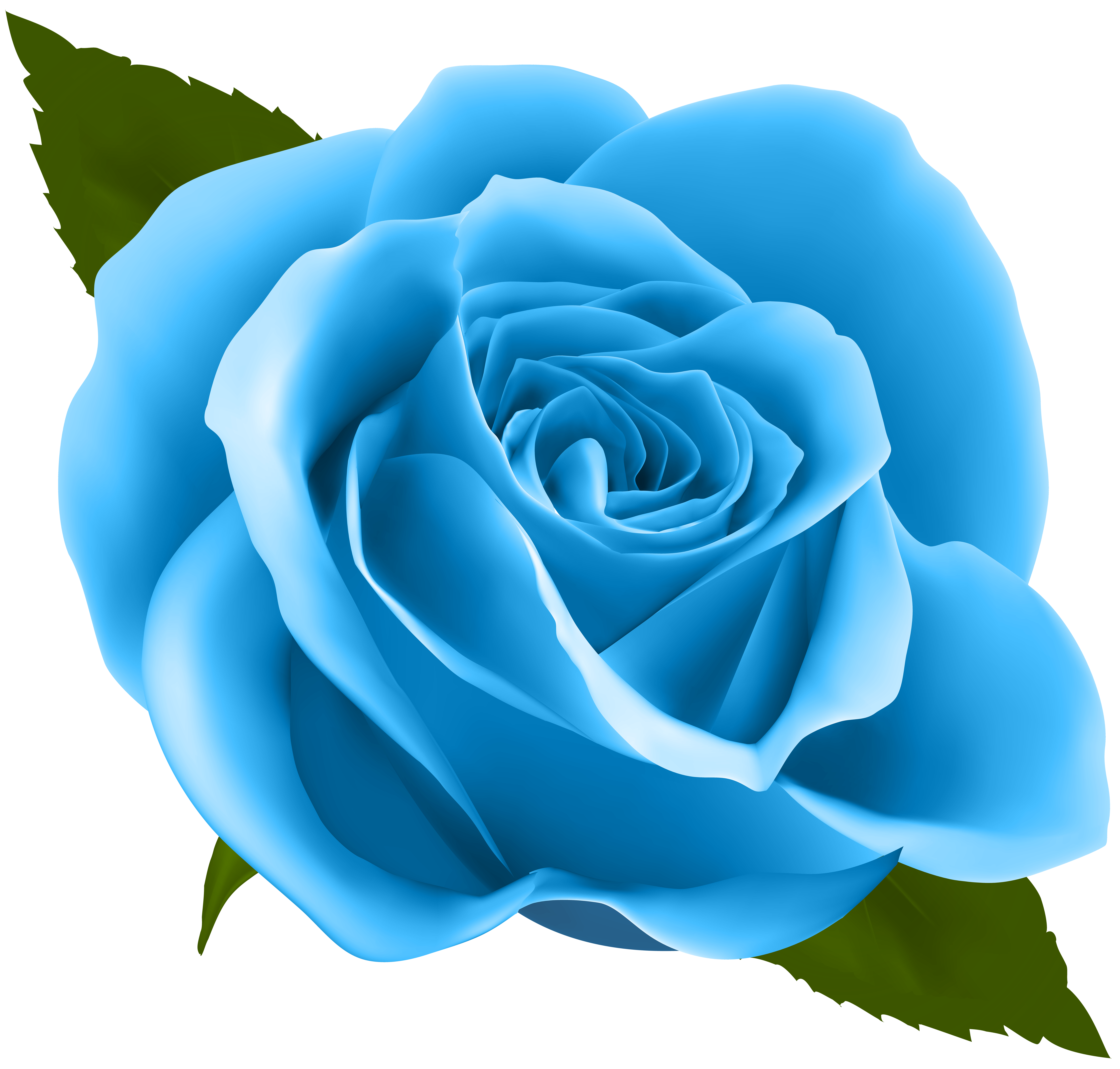Blue Rose PNG Clip Art Image