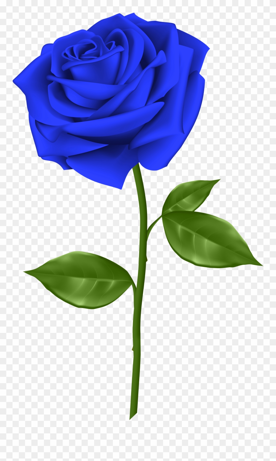 Svg Blue Rose Clipart