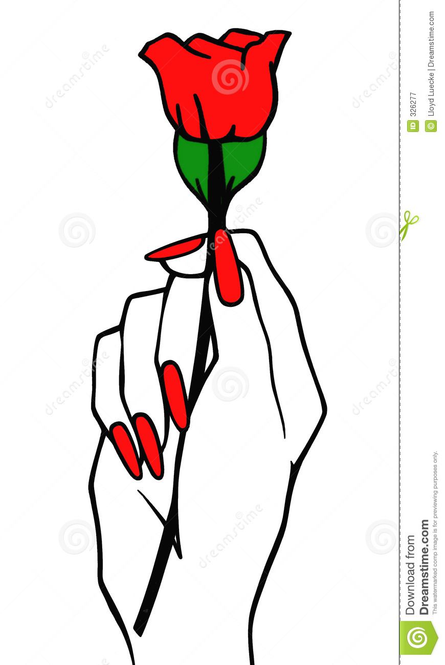 Hand holding rose.