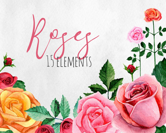 Watercolor roses clip art Pink floral clipart hand drawn