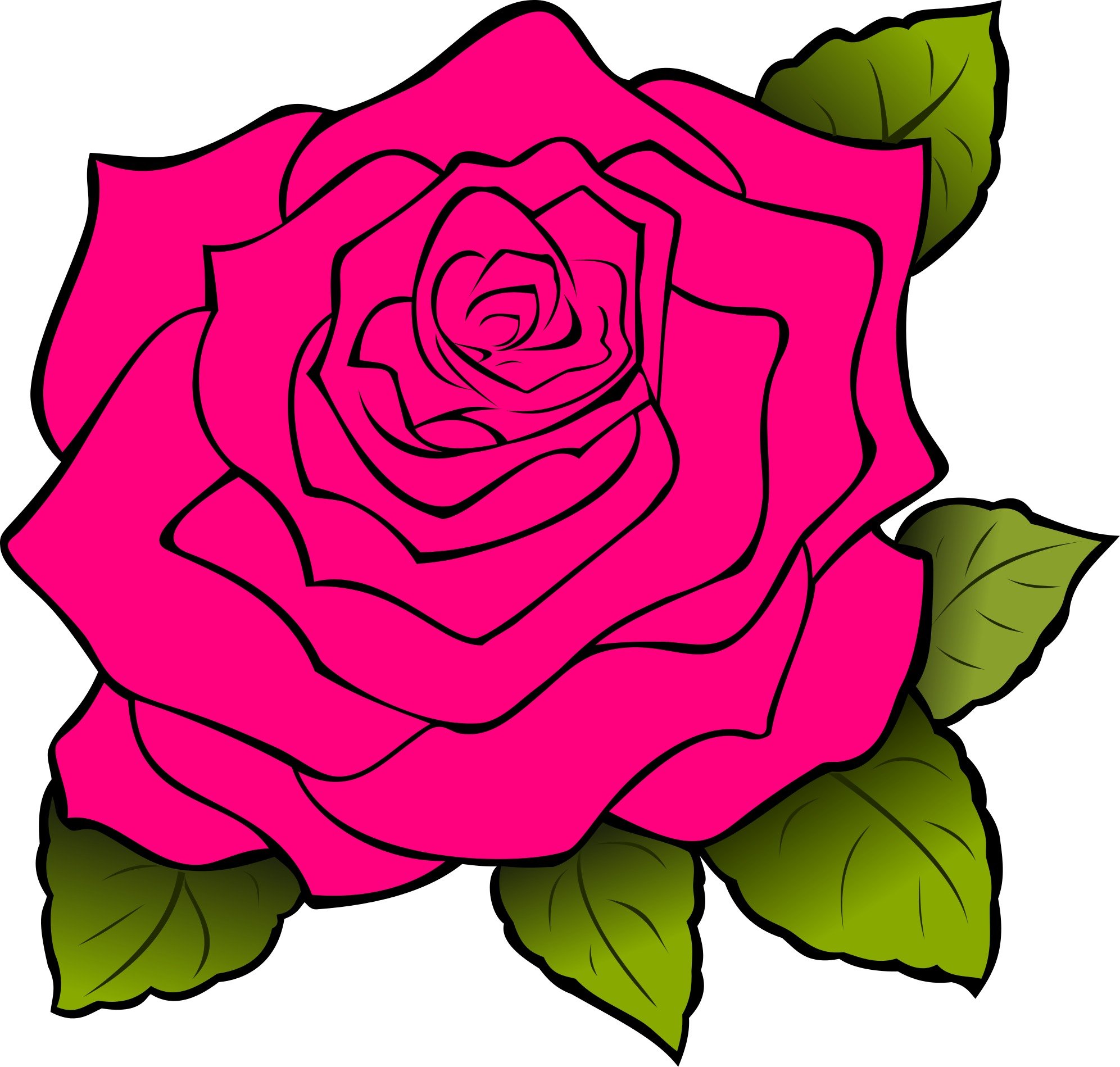 Depiction pink rose.
