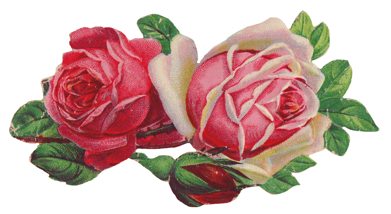 Roses cliparts victorian.