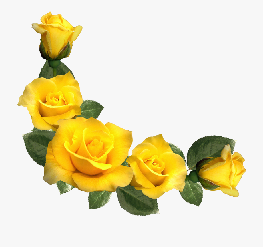 Rose Clipart, Yellow Flowers, Leaf Flowers, Flower