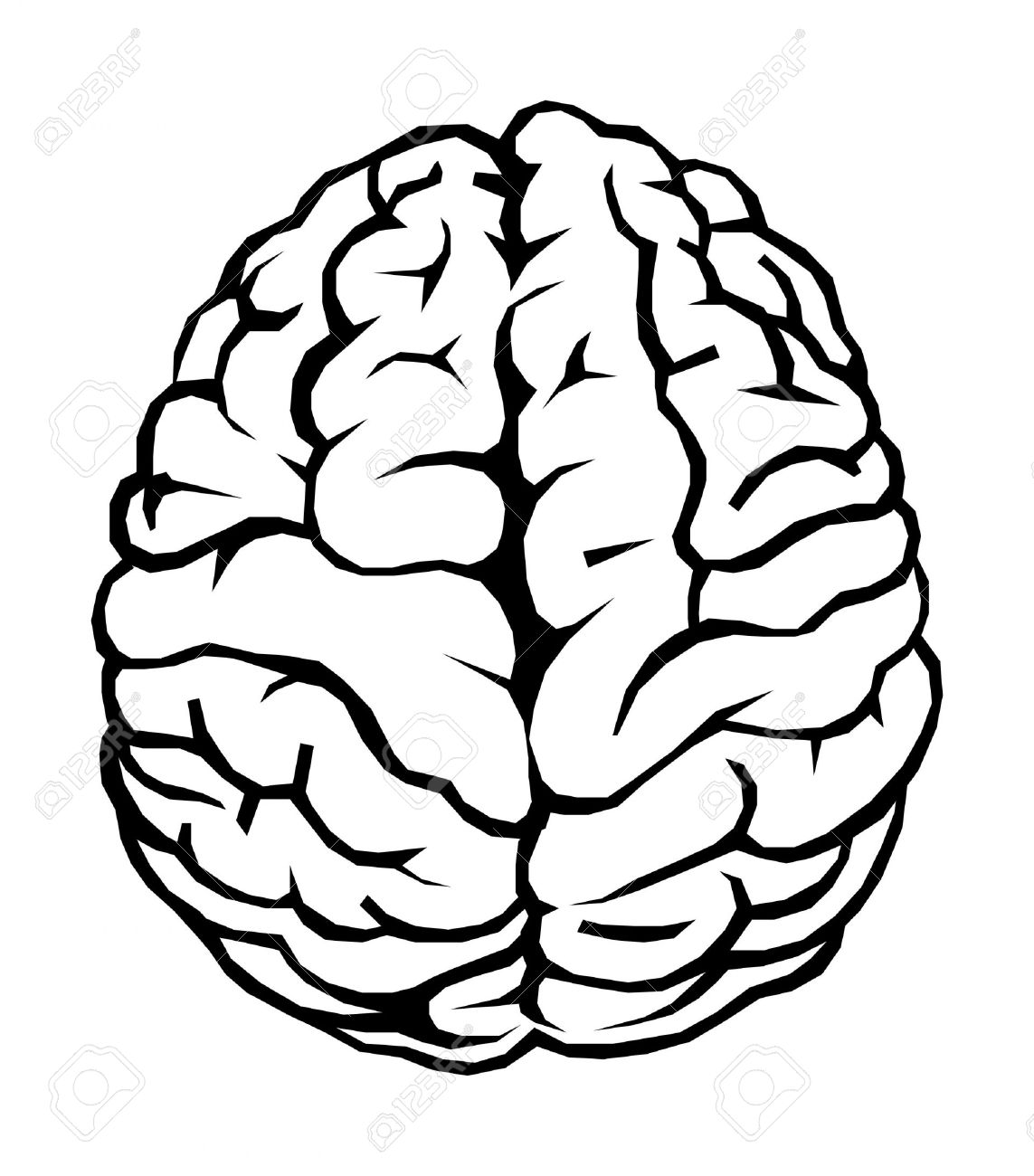 Human brain stock photo picture and royalty free image image