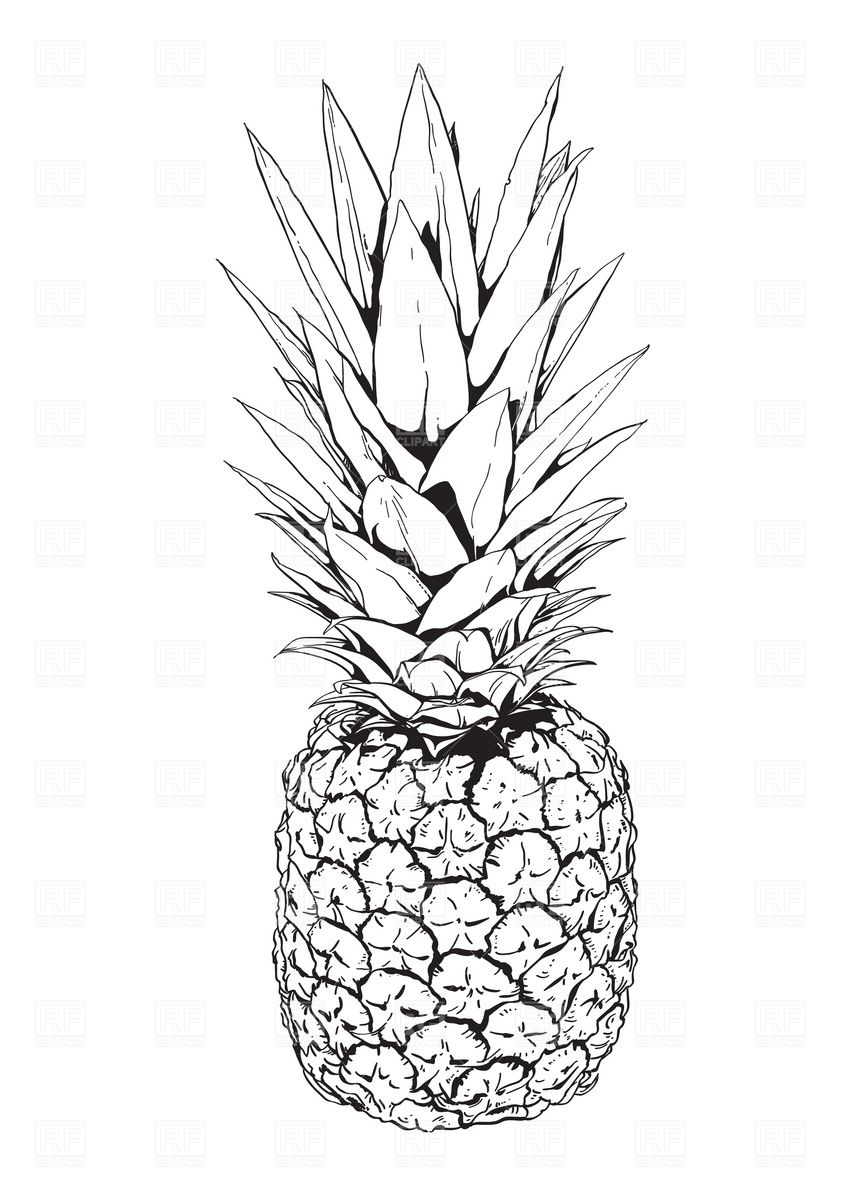 Pineapple Clip Art Black and White, Free Pineapple Clipart