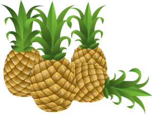Pineapple clip art.