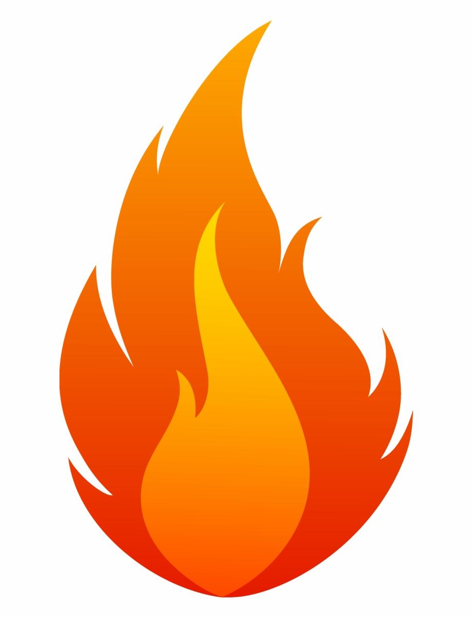 Top Fire Flame Designs Vector Design
