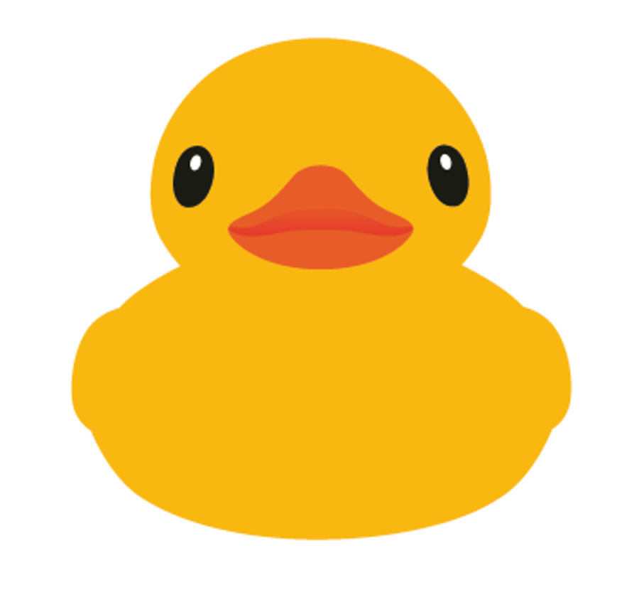 Duck Cartoon clipart