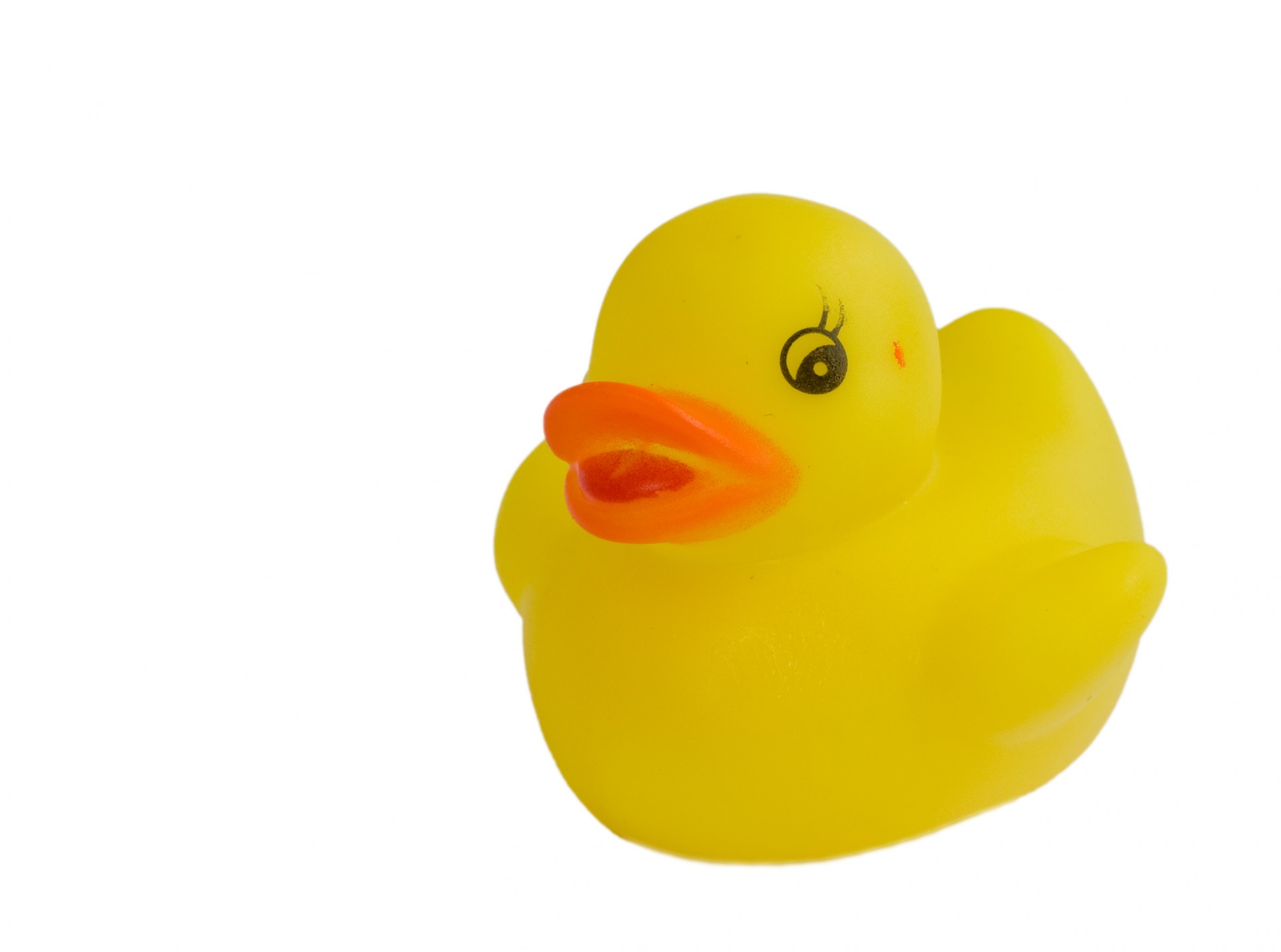 Yellow rubber duck,rubber duck,duck,toy,bath