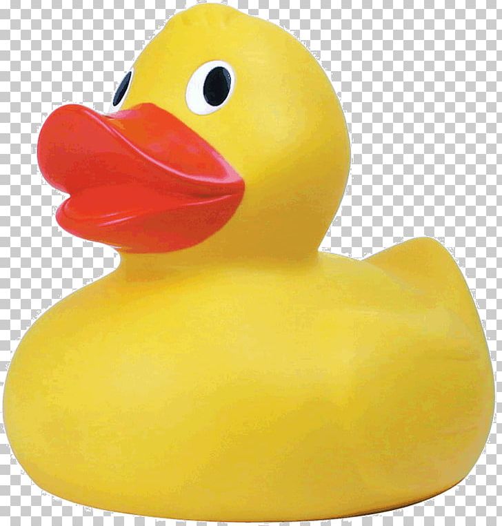 Rubber Duck Giant Bath Duck Toy PNG, Clipart, Bathtime Water