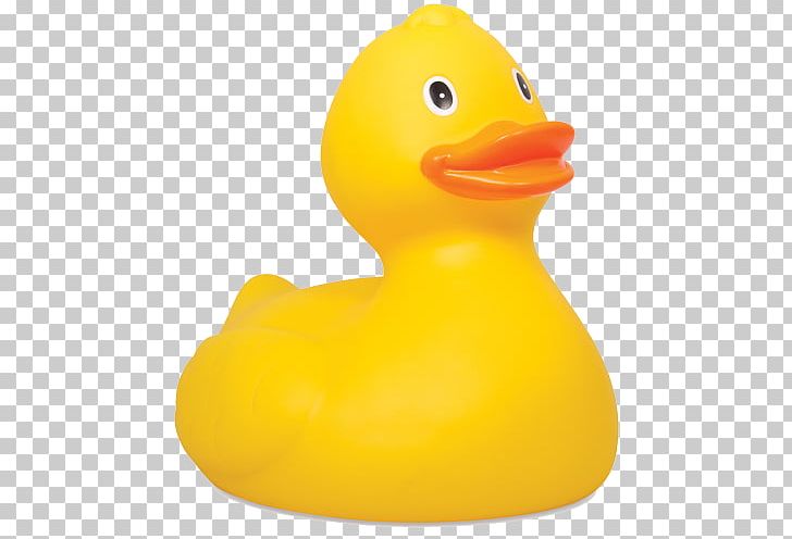 Rubber Duck Natural Rubber Toy PNG, Clipart, Bathing, Beak