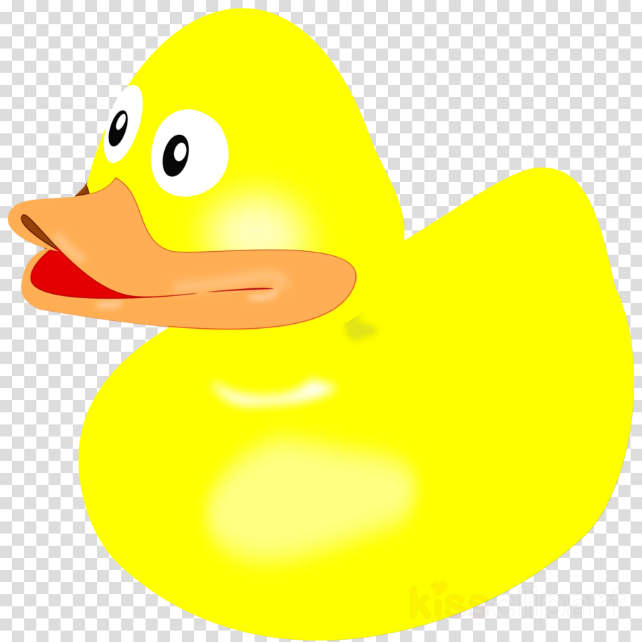 Rubber ducky duck.
