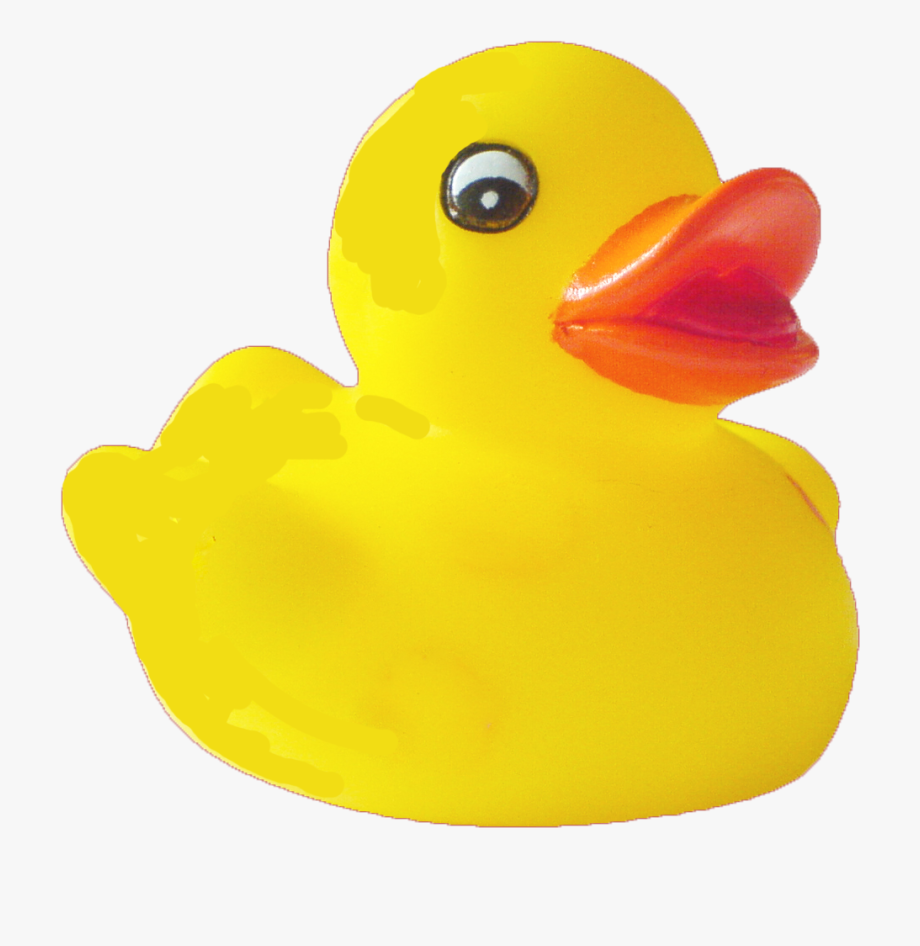 Rubber duck png.