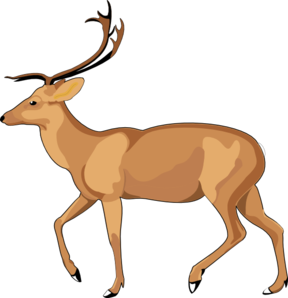 Antelope clip art.