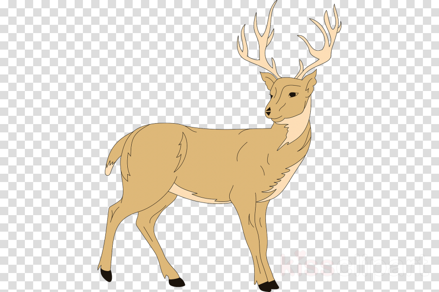 Pattern Background clipart
