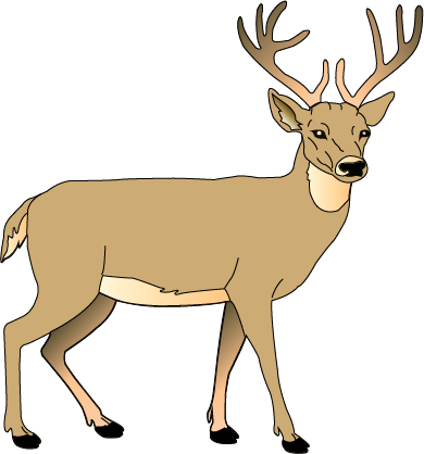 This is Rusa or a deer not Risa