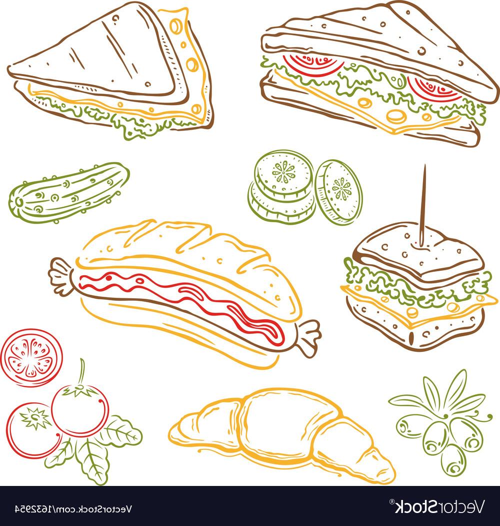 Unique Vector Sandwich Snack Vector Drawing
